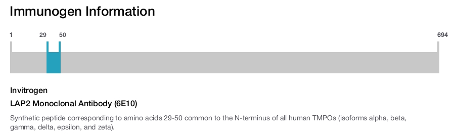 LAP2 Monoclonal Antibody (6E10)
