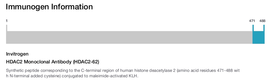 HDAC2 Monoclonal Antibody (HDAC2-62)