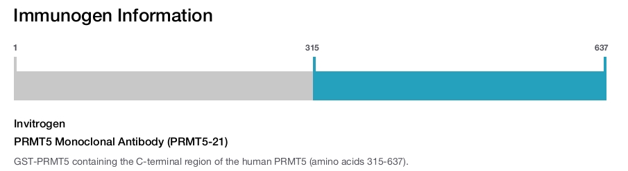 PRMT5 Monoclonal Antibody (PRMT5-21)