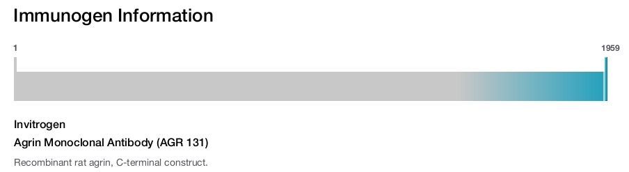Agrin Monoclonal Antibody (AGR 131)