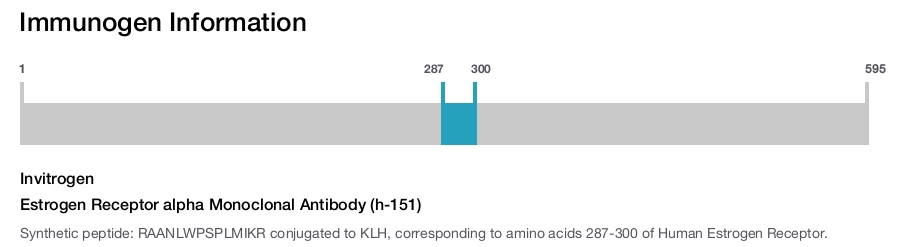 Estrogen Receptor alpha Monoclonal Antibody (h-151)