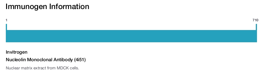 Nucleolin Monoclonal Antibody (4i51)