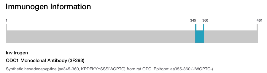 ODC1 Monoclonal Antibody (3F293)