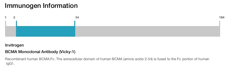 BCMA Monoclonal Antibody (Vicky-1)