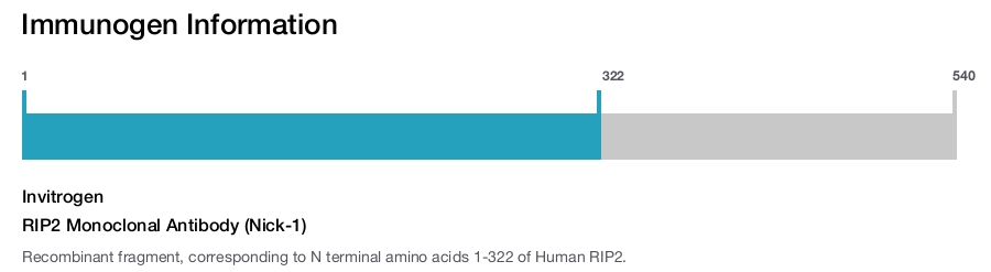 RIP2 Monoclonal Antibody (Nick-1)