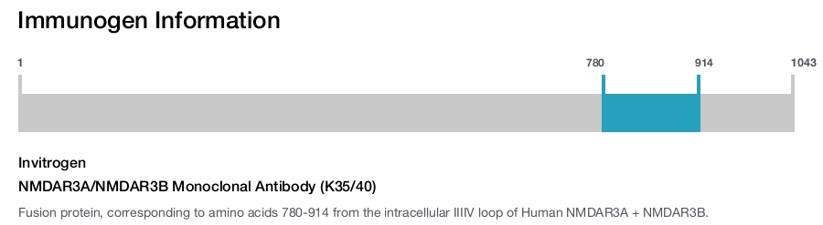 NMDAR3A/NMDAR3B Monoclonal Antibody (K35/40)