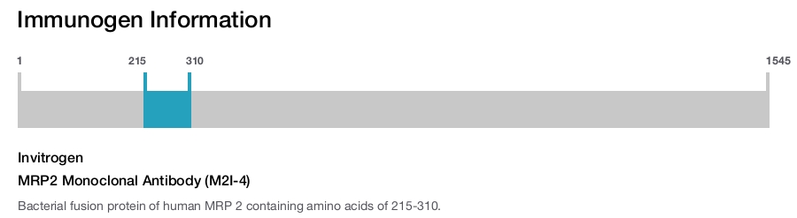 MRP2 Monoclonal Antibody (M2I-4)