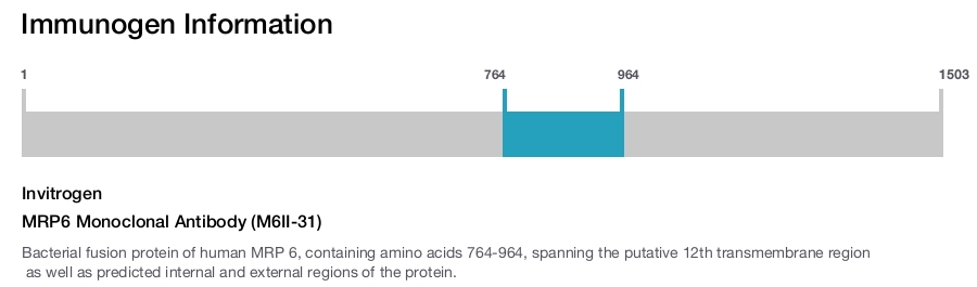 MRP6 Monoclonal Antibody (M6II-31)