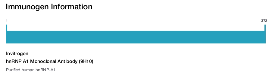 hnRNP A1 Monoclonal Antibody (9H10)
