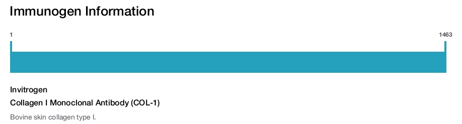 Collagen I Monoclonal Antibody (COL-1)