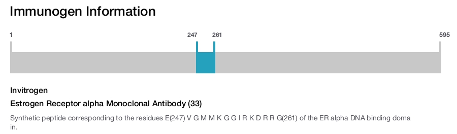 Estrogen Receptor alpha Monoclonal Antibody (33)