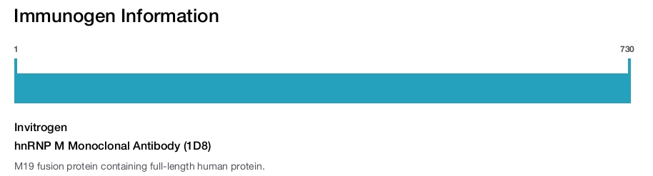 hnRNP M Monoclonal Antibody (1D8)
