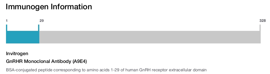 GnRHR Monoclonal Antibody (A9E4)