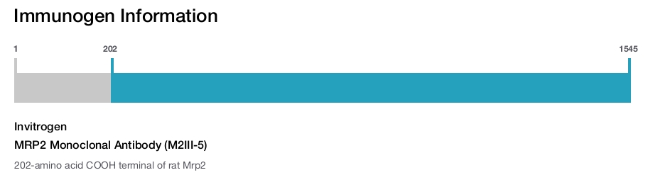 MRP2 Monoclonal Antibody (M2III-5)