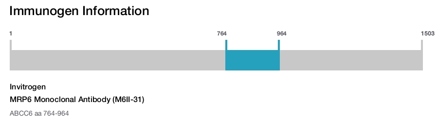 MRP6 Monoclonal Antibody (M6II-31)