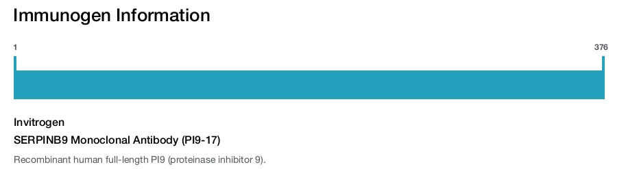 SERPINB9 Monoclonal Antibody (PI9-17)