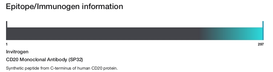 CD20 Monoclonal Antibody (SP32)