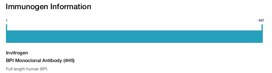 BPI Monoclonal Antibody (4H5)
