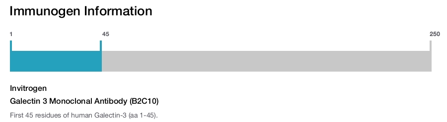 Galectin 3 Monoclonal Antibody (B2C10)