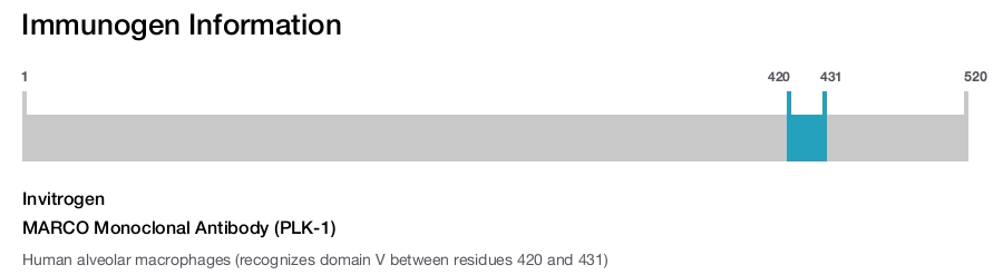MARCO Monoclonal Antibody (PLK-1)
