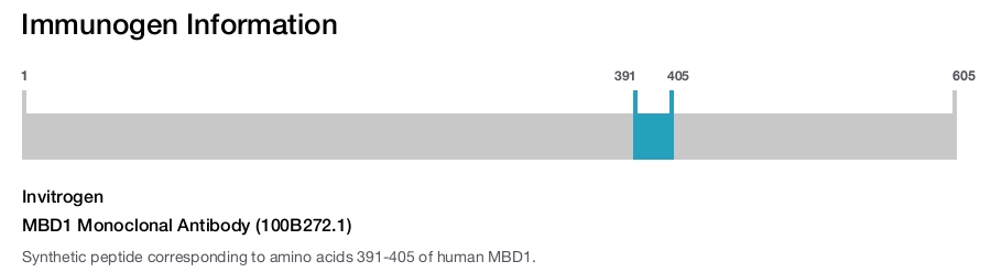 MBD1 Monoclonal Antibody (100B272.1)