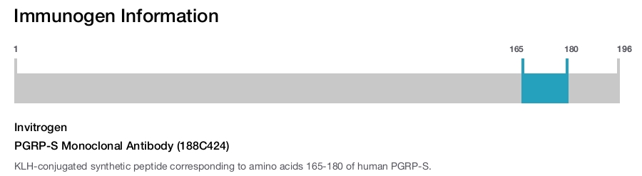 PGRP-S Monoclonal Antibody (188C424)