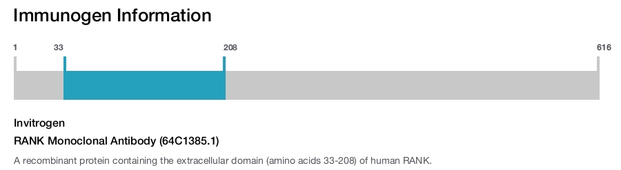 RANK Monoclonal Antibody (64C1385.1)