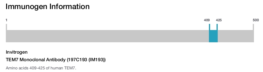 TEM7 Monoclonal Antibody (197C193 (IM193))