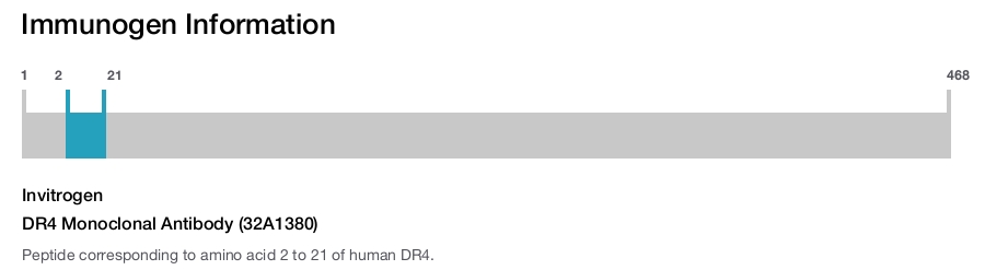 DR4 Monoclonal Antibody (32A1380)