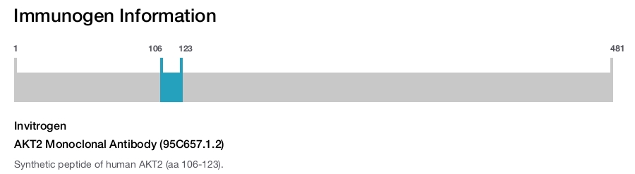 AKT2 Monoclonal Antibody (95C657.1.2)