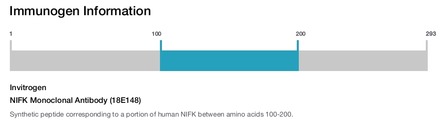 NIFK Monoclonal Antibody (18E148)