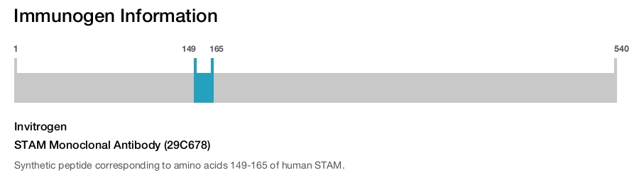 STAM Monoclonal Antibody (29C678)
