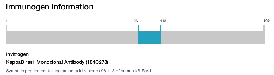 KappaB ras1 Monoclonal Antibody (184C278)