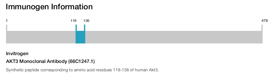 AKT3 Monoclonal Antibody (66C1247.1)