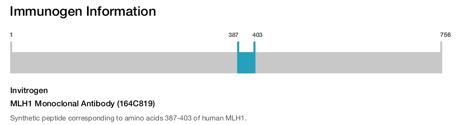 MLH1 Monoclonal Antibody (164C819)