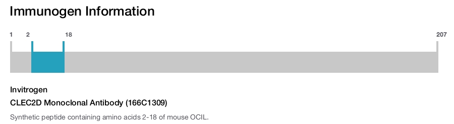 CLEC2D Monoclonal Antibody (166C1309)