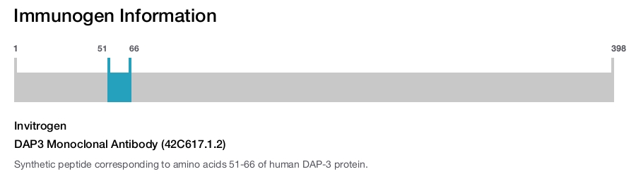 DAP3 Monoclonal Antibody (42C617.1.2)
