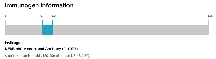 NFkB p50 Monoclonal Antibody (2J10D7)