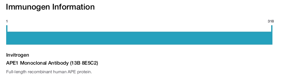 APE1 Monoclonal Antibody (13B 8E5C2)