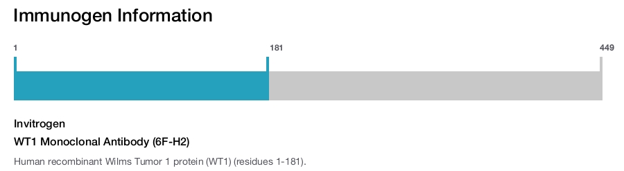 WT1 Monoclonal Antibody (6F-H2)