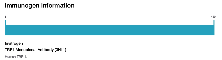 TRF1 Monoclonal Antibody (3H11)