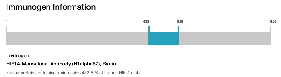 HIF1A Monoclonal Antibody (H1alpha67), Biotin