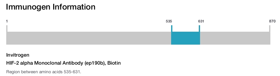 HIF-2 alpha Monoclonal Antibody (ep190b), Biotin