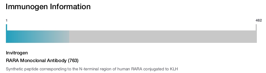 RARA Monoclonal Antibody (763)