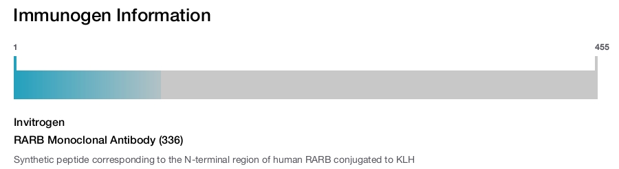 RARB Monoclonal Antibody (336)