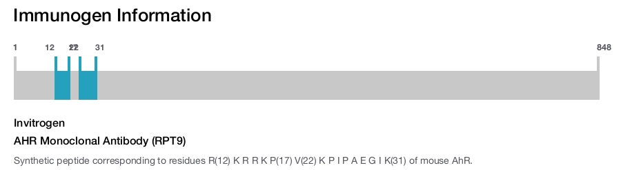 AHR Monoclonal Antibody (RPT9)