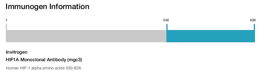 HIF1A Monoclonal Antibody (mgc3)