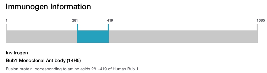 Bub1 Monoclonal Antibody (14H5)