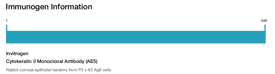 Cytokeratin 3 Monoclonal Antibody (AE5)