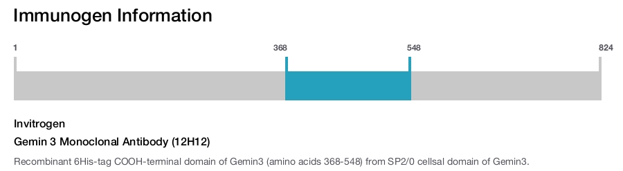 Gemin 3 Monoclonal Antibody (12H12)